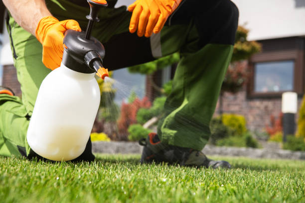 Trusted Schertz, TX Pest Control Experts