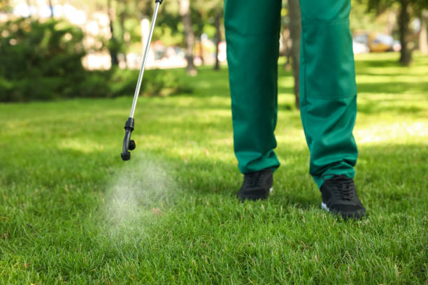 Best Wildlife Control Services  in Schertz, TX
