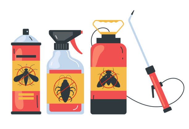 Wasp Removal Services in Schertz, TX