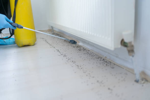 Best Commercial Pest Control Services  in Schertz, TX