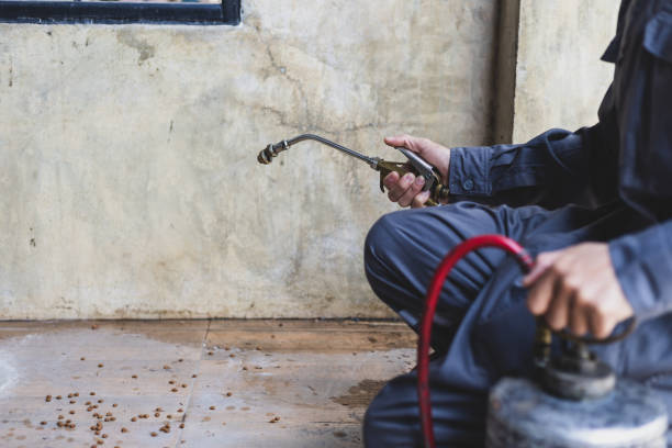 Best Exterminator Services  in Schertz, TX